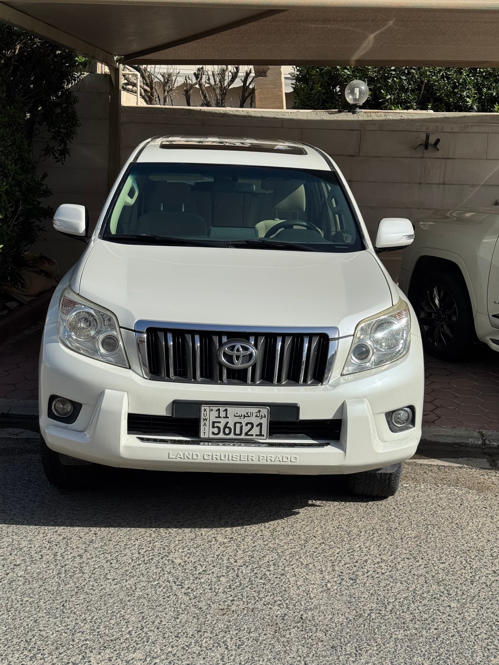 برادو ٢٠١٣