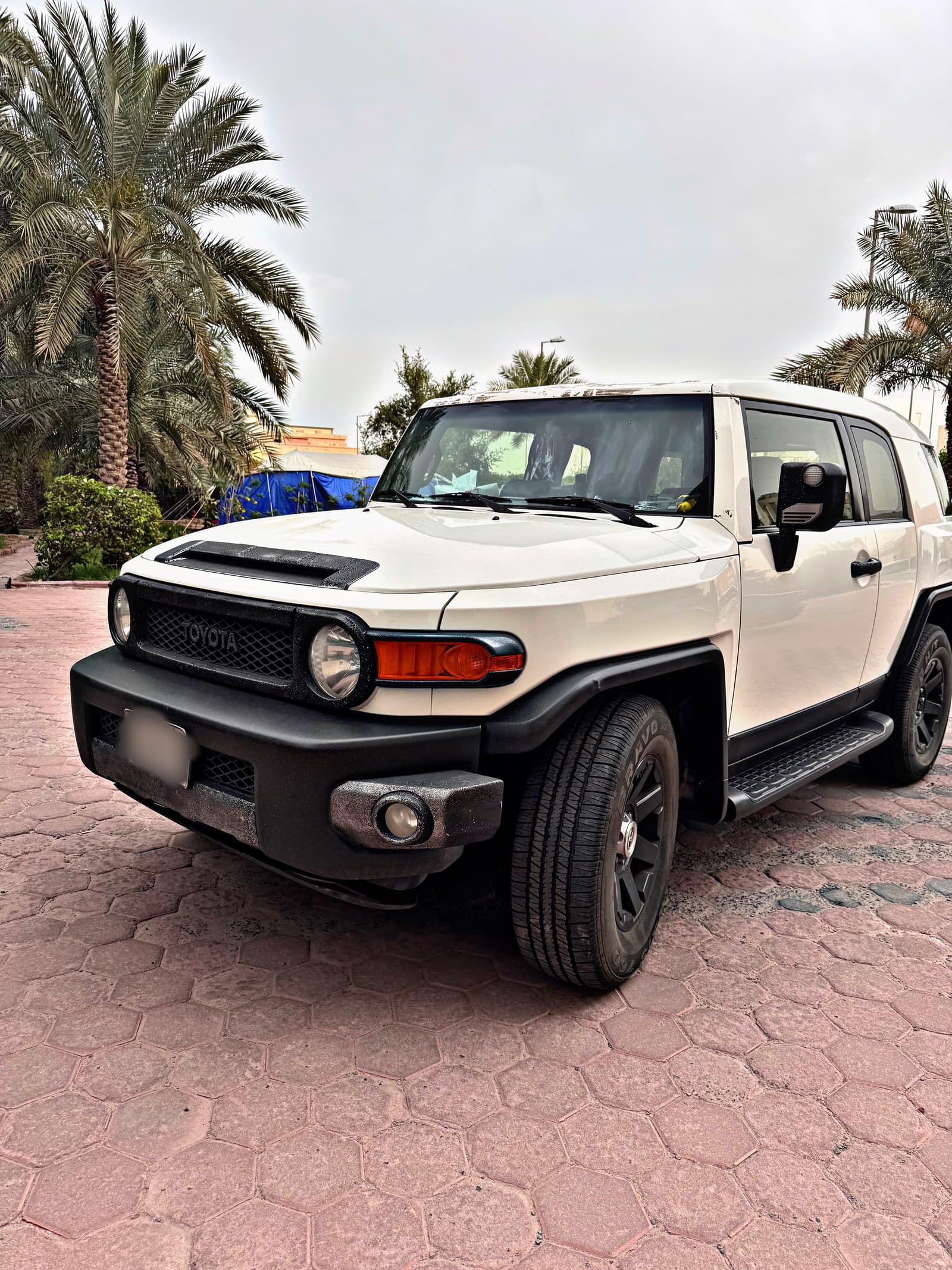 اف جي ٢٠١٦