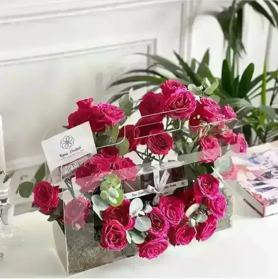 Rosa Orchid