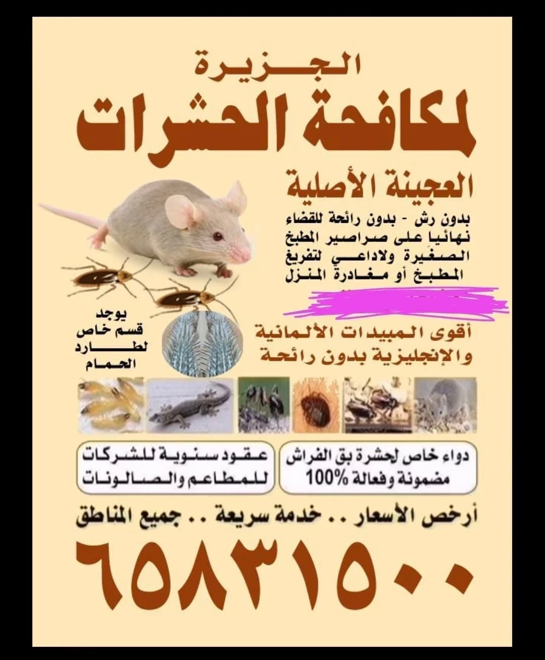 مكافحه حشرات