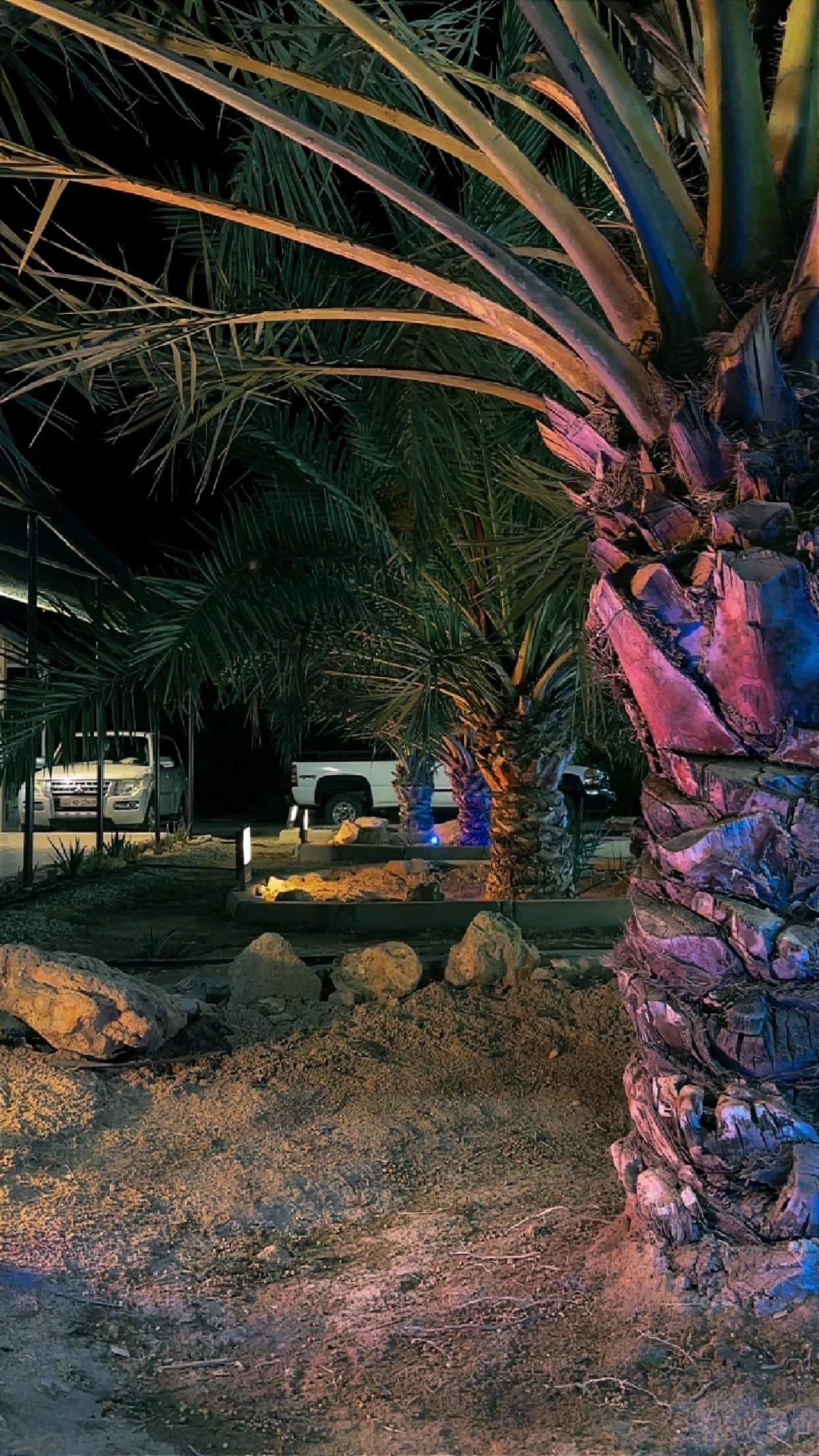 مزرعه النيره