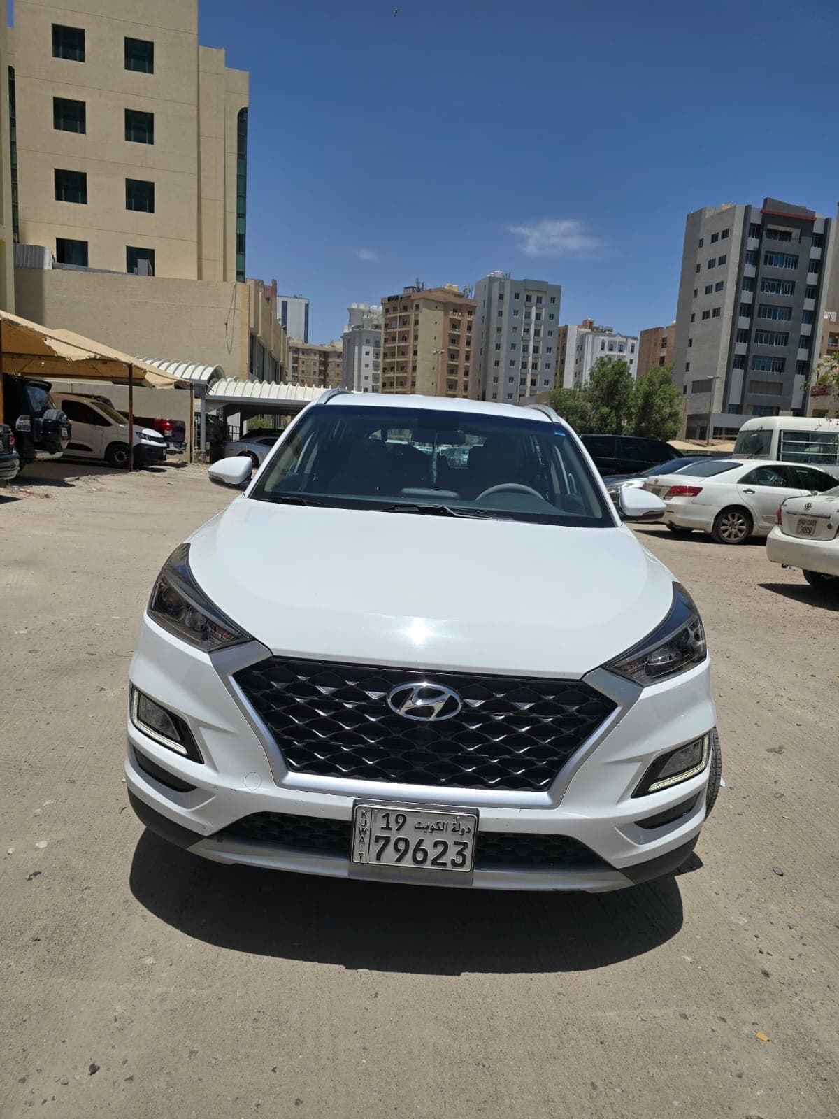 حولي