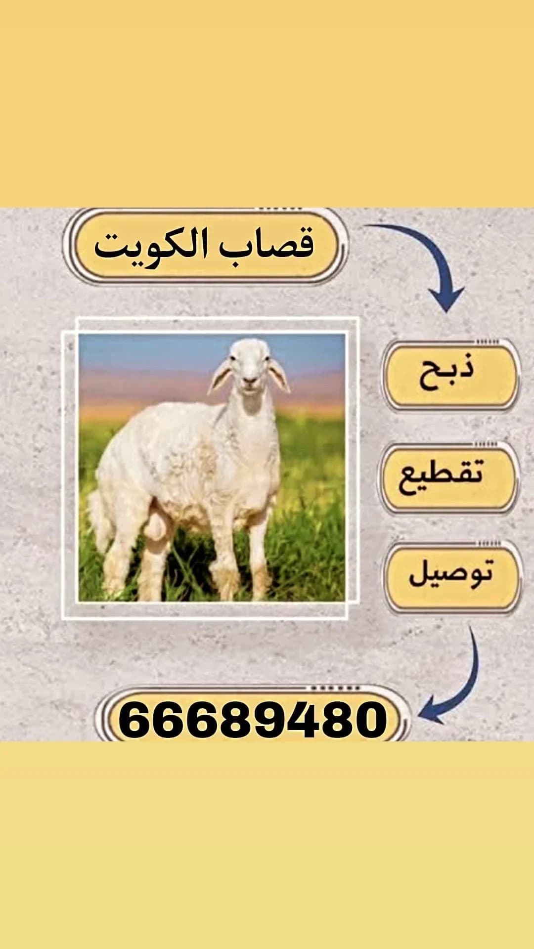 قصاب الكويت/66689480