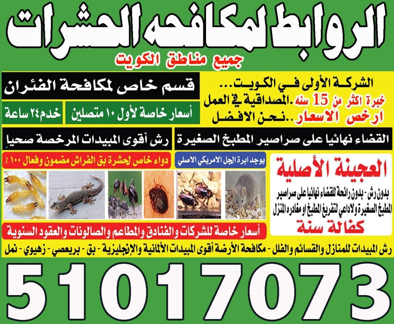 رش حشرات