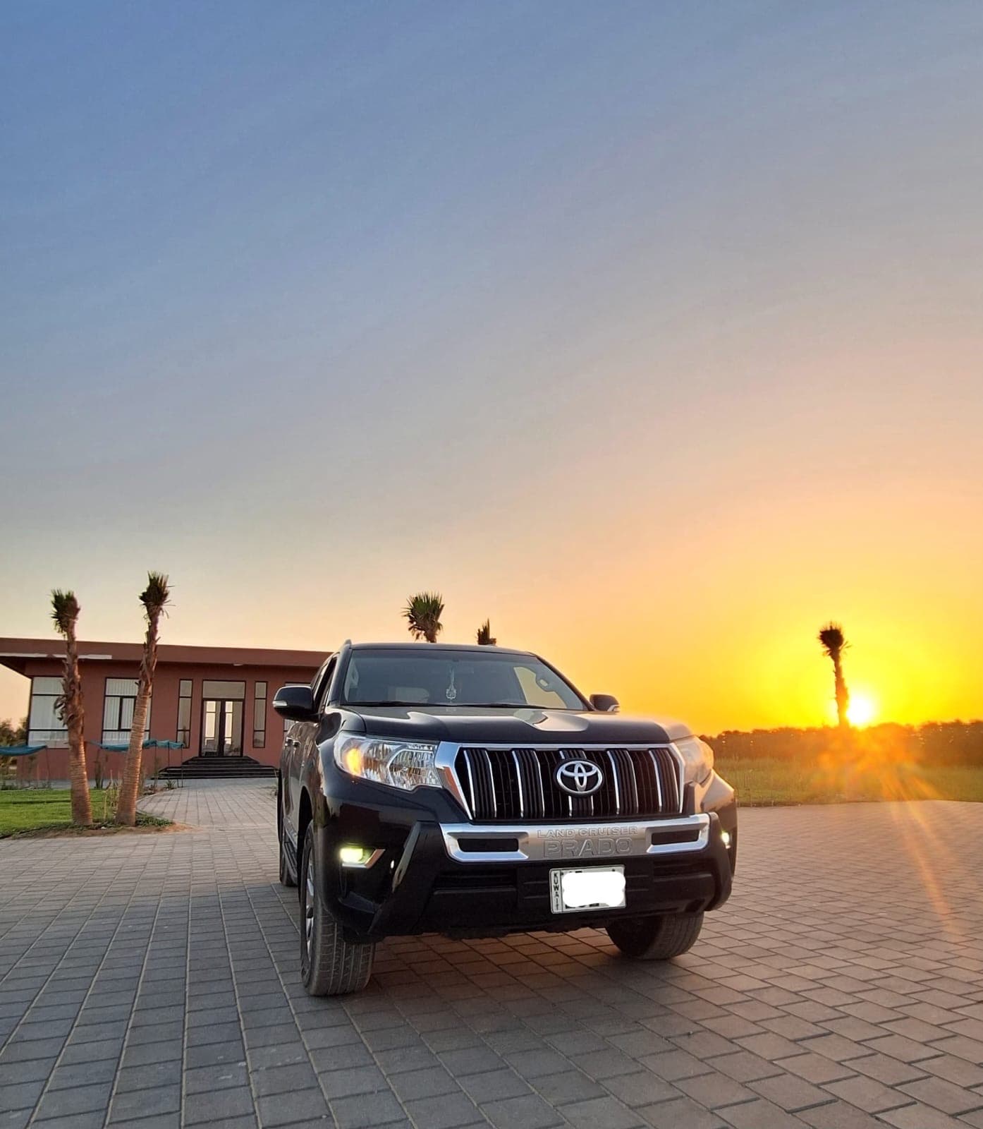 PRADO TXL 2021
