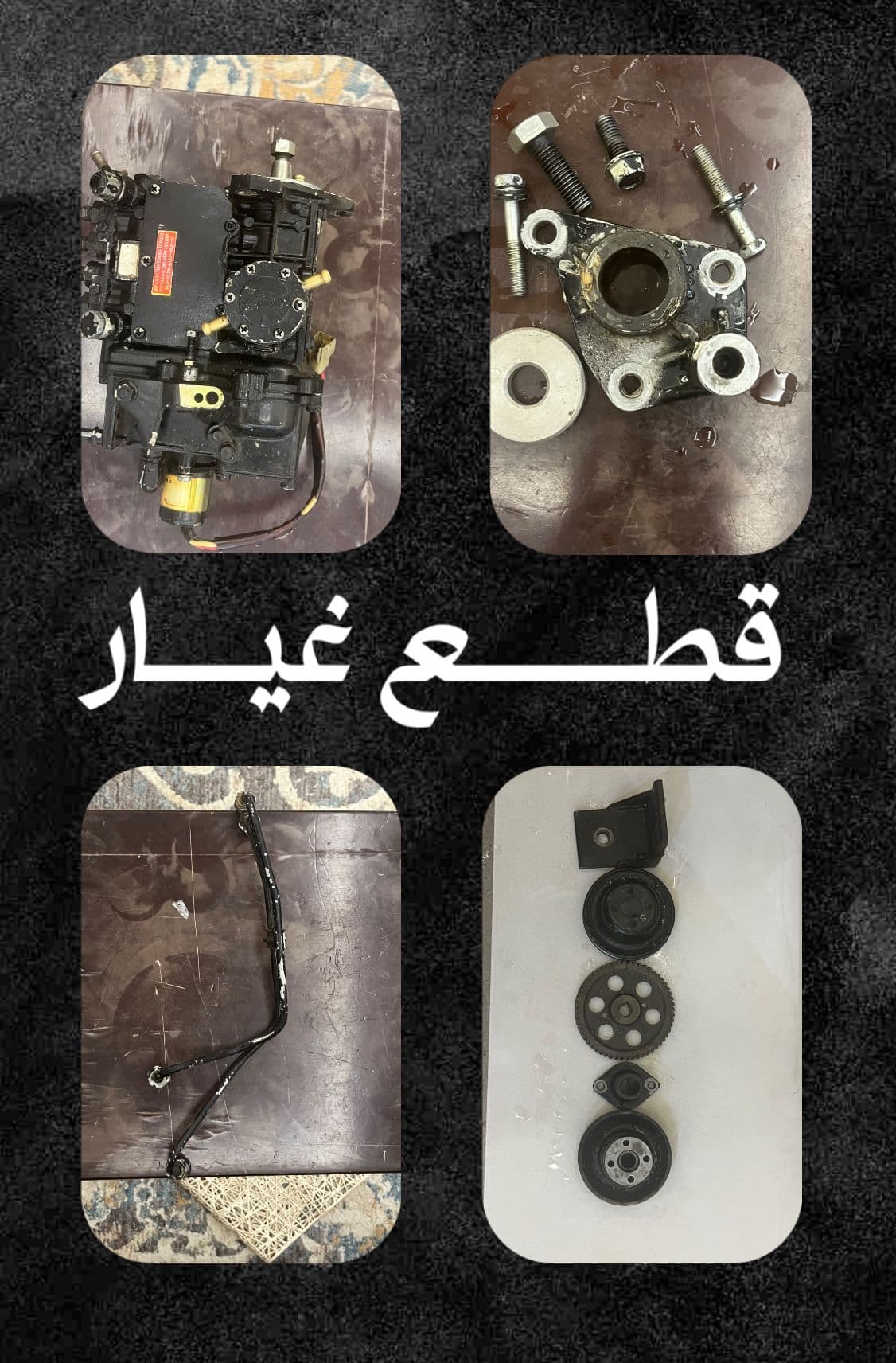 آلفردوس ق ٢ش١ج٦م٣٤