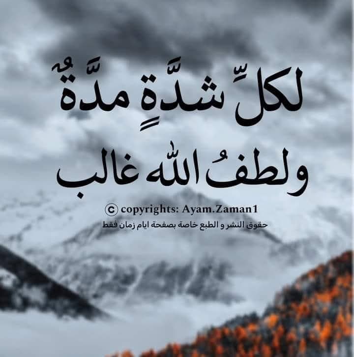 مدير مالي يبحث عن عمل