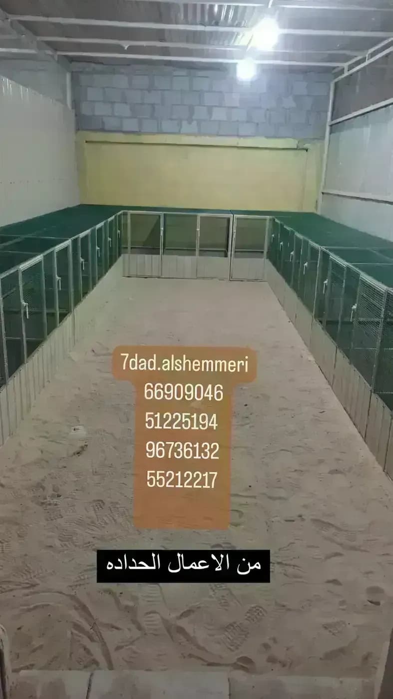 حدادة عامه داخل كبد